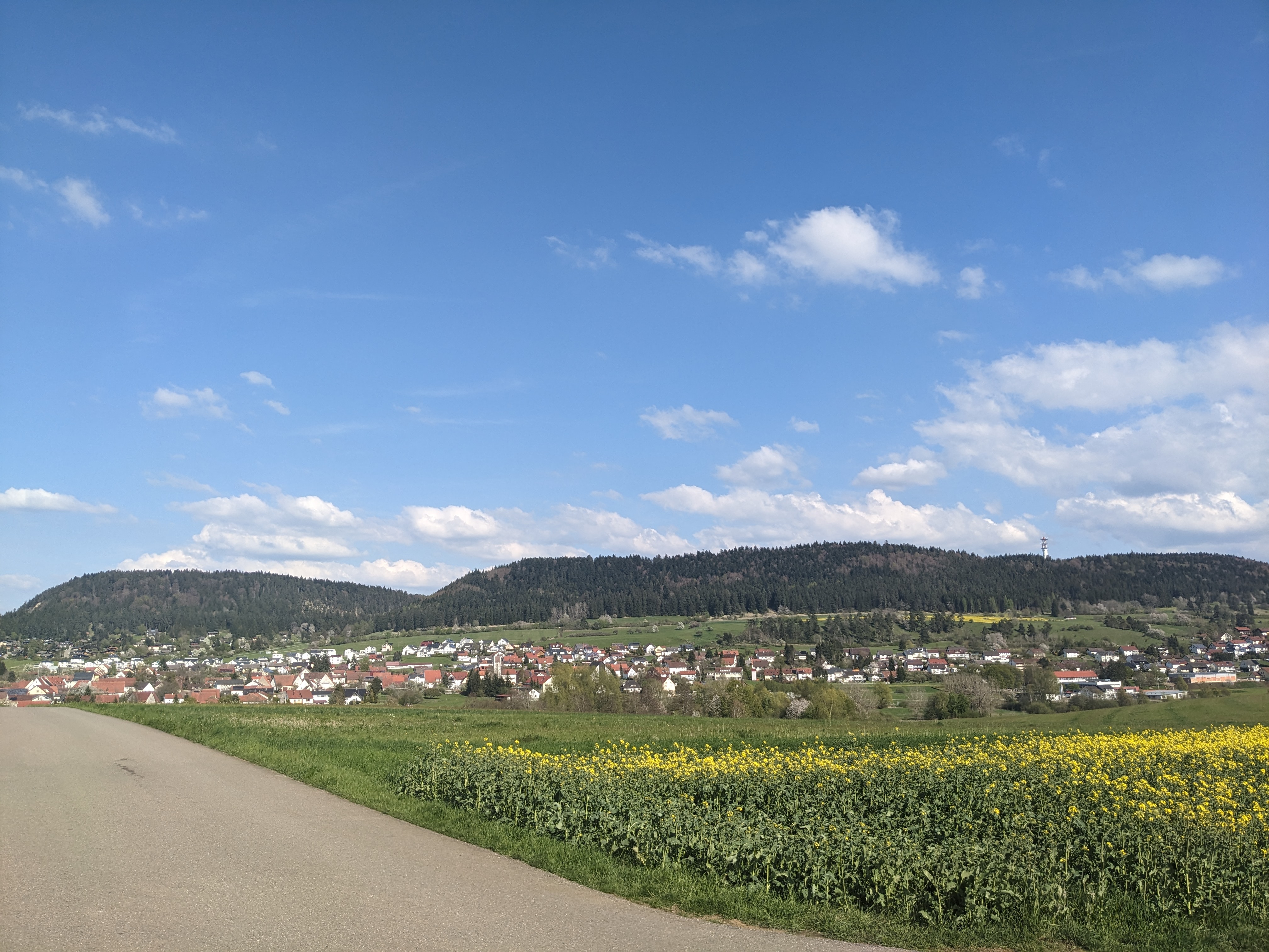 Panorama